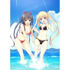 新品 PSVITA さかあがりハリケーン Portable 初回限定版