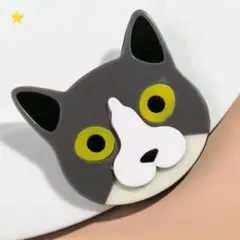TXT テヒョン ダゴニャン ヘアクリップ - メルカリ
