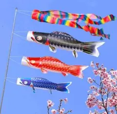 鯉のぼり　こいのぼり　3色こいのぼり　端午の節句　鯉のぼり　5歳　男の子　5才のサムネイル
