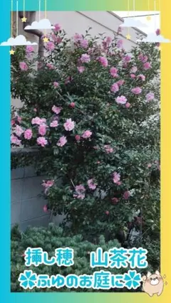 ゆう様 リクエスト 2点 まとめ商品