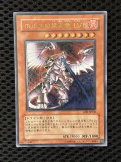 2026年最新】ホルスの黒炎竜 lv8 レリーフの人気アイテム - メルカリ