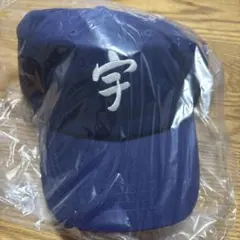 zorn 宇チ多゛all my homies cap