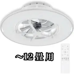 【未開封】シーリングファンライト 12畳 首振り ファン付き LED
