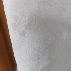 Item thumbnail for item 97eee6f1-6f77-4150-aa28-d55c1b9e06c2