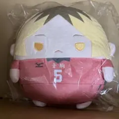 ハイキュー!! ぬいくじ 孤爪研磨 C賞 ふわコロりん Msize