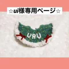 ⭐︎ui様専用ページ⭐︎