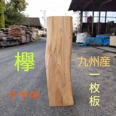 2025年最新】ケヤキの人気アイテム - メルカリ