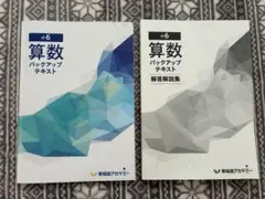 2025年最新】早稲田アカデミー 小6 バックアップテキストの人気