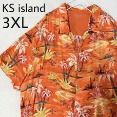 シンバ様 リクエスト 2点 まとめ商品