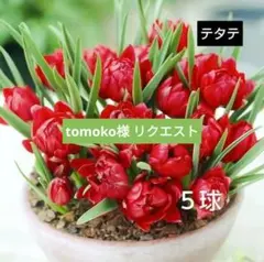 tomoko様 リクエスト 2点 まとめ商品
