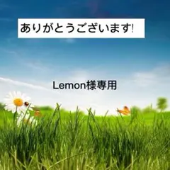 専用