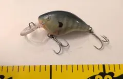 ラパラ　DT4のサムネイル