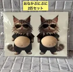 お腹ぷにぷにシール 猫 ねこ ネコ おなかぷにぷに 3D スクイーズ ③