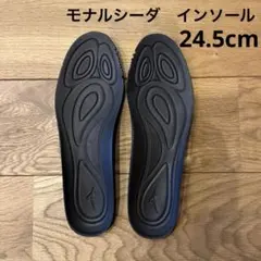 MIZUNO MONARCIDA モナルシーダ インソールのみ(24.5cm)
