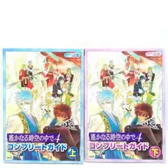遥かなる時空の中で4コンプリートガイド　上下巻セット　PS2【匿名配送】