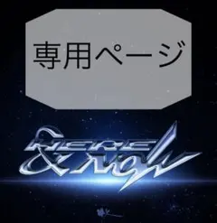 専用出品