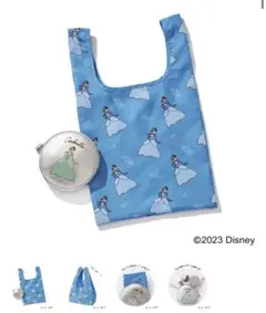 sweet1月号付録　シンデレラお出かけトート＆ポーチ