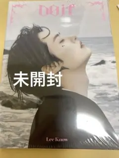 未開封　straykids DO IT accordion リノ