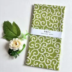 Item thumbnail for item 45a89838-2161-4192-bcb6-de275e1a3e42