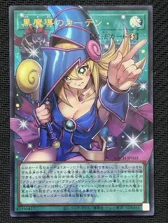 2026年最新】黒魔導のカーテン LOCH-JP003 の人気アイテム - メルカリ