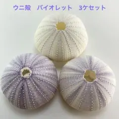 ココパノ様 リクエスト 3点 まとめ商品