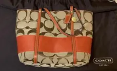 Item thumbnail for item 16f89d4a-833f-497e-9e6b-8af4a1699e87