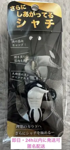 【新品未開封】さらに　しあがってるシャチ　須磨シーワールド　岩本照　即日発送可能