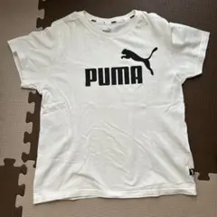 PUMA ホワイト Tシャツ 150サイズ 汚れあり