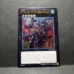 CNo.101 S・H・Dark Knight レリーフ