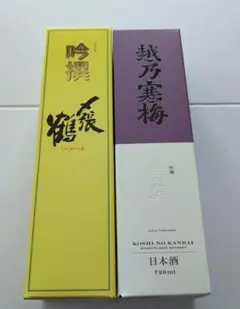 Item thumbnail for item 58f791e3-bc73-49ec-b90a-89eac5feb51d