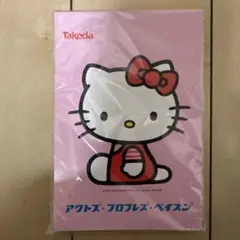 製薬会社　武田薬品　非売品　ハローキティ　メモ帳　サイズ　10x15センチ