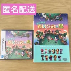 おいでよどうぶつの森 Nintendo DSソフト　公式ガイドブック　２点セット