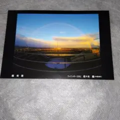 Item thumbnail for item 6cbe6b19-d801-4a4a-a866-4f4214c55b4d