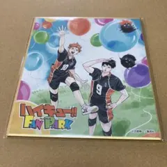 ハイキュー!! ファンパーク 来場者特典 FAN PARK ミニ色紙