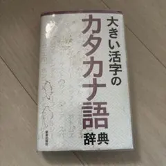 大きい活字のカタカナ語辞典 新星出版社