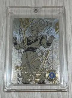 【美品】APT-002N 孫悟空ゴールドパラレル