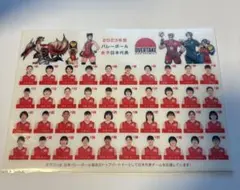 2023年度 バレーボール女子日本代表 クリアファイル