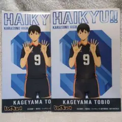 影山飛雄 カード アニメイト