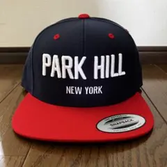 PARK HILL NEW YORK キャップ Wu-Tang Clan - メルカリ
