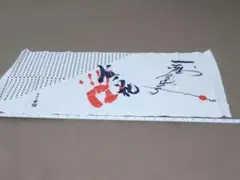 Item thumbnail for item 5b027956-fccb-400f-be98-ffd4b88a5e29