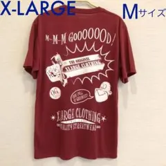 美品X-LARGE Tシャツ