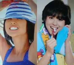 松田聖子　1980年〜1985年 レア　大量　切り抜き　ファイル　2冊120P 松田聖子 1980年〜1985年 レア 大量 切り抜き ファイル 2冊 120P