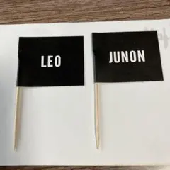 Item thumbnail for item b4c2f2b5-81cf-4eb2-a48d-3728d7776bc3