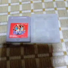 ゲームボーイソフト、ポケットモンスター赤