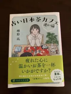 占い日本茶カフェ「迷い猫」