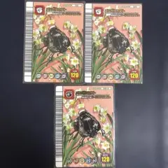 ムシキング 5周年第1弾 メンガタカブト せいかくなし 黒バーコード アダー