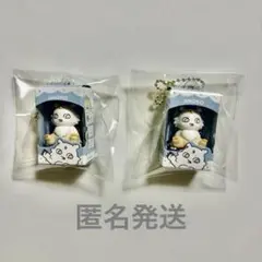 ちいかわ あの子　チョコボックス