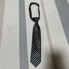 Item thumbnail for item 5b8f0004-a372-4a09-a90a-d3180daf465b