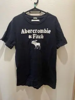 Abercrombie & Fitch ネイビー Tシャツ　中古　送料込