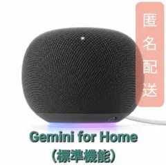 Google Home Speaker 本体 HazelGA10554-JP - メルカリ